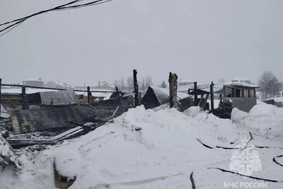 Пожар в коровнике унес жизни 35 животных в Нижегородской области