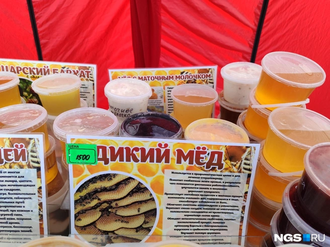 Дикий мед стоит в среднем 1500 рублей | Источник: Мария Тищенко / NGS.RU