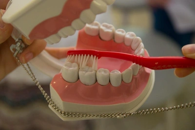 Novosibirsk dentists: humidity is toothbrush's main enemy, replace every three months