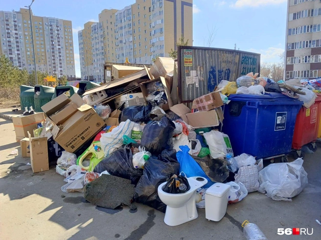 В «Природе» рассказали, чем компания будет заниматься после лишения статуса регоператора по вывозу ТКО | Источник: Владислав Митрошин / 56.RU