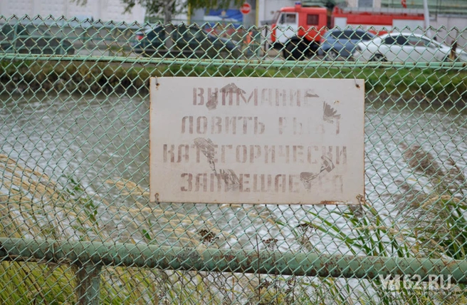 Пруд у колонии в Ворошиловки