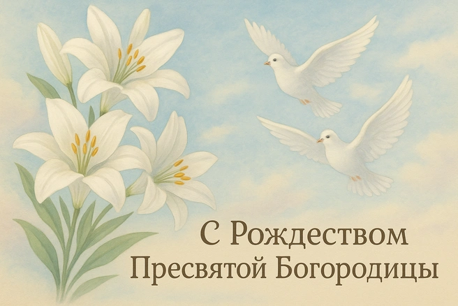Источник: Городские медиа