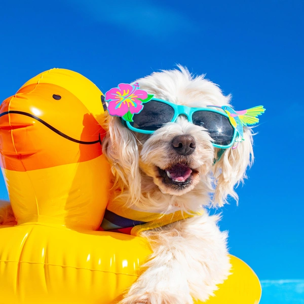 Источник: Shutterstock/Fotodom.ru