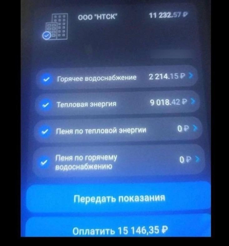 Жителей Выборной, 89 удивили суммы в приложении | Источник: Выборная online (Новосибирск) / «ВКонтакте»