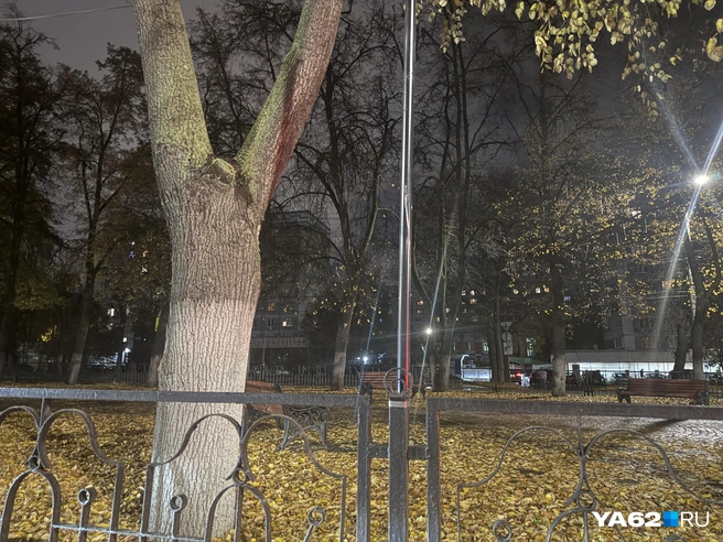 И дождь в ближайшие два дня не прекратится | Источник: Сергей Петунин / YA62.RU