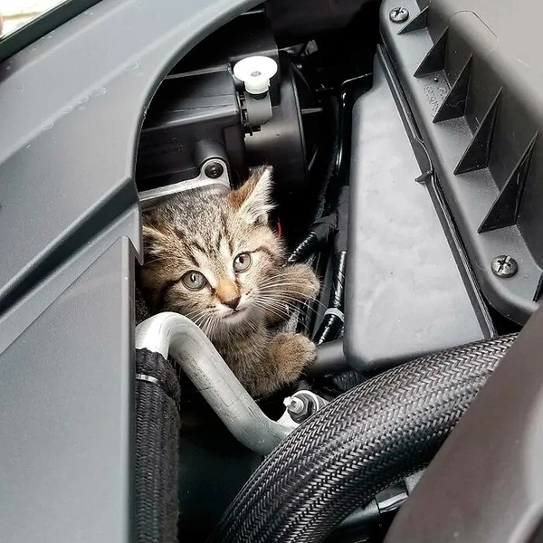 Источник: соцсети