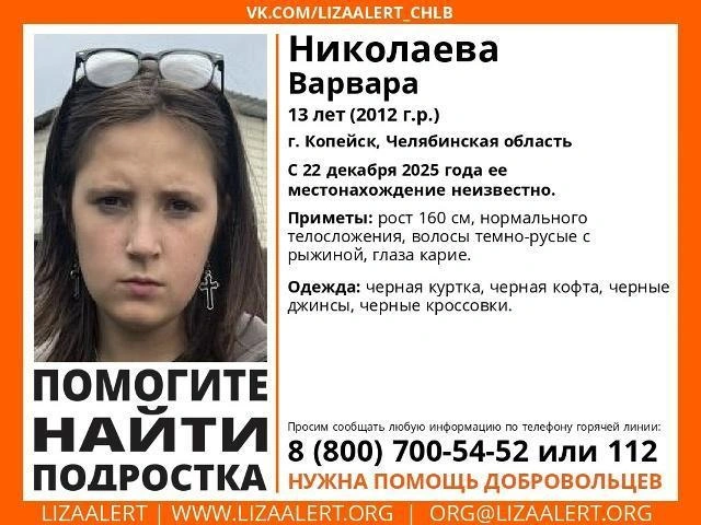Источник: Поисковый отряд «ЛизаАлерт» Челябинской области