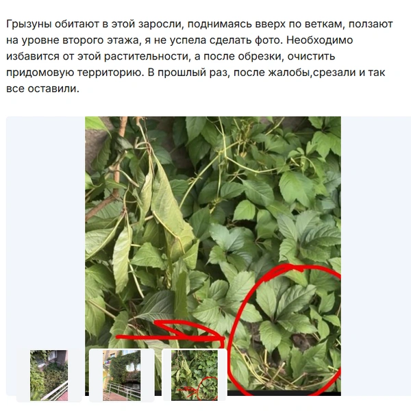 Источник: uslugi.tatarstan.ru