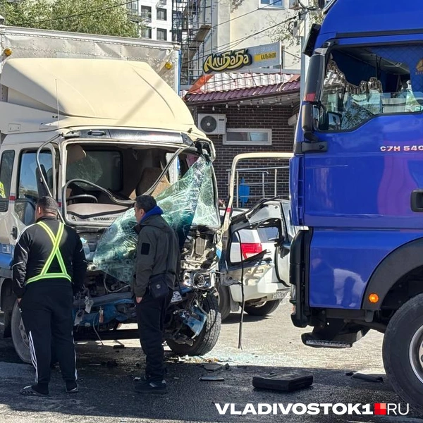 Источник: Елена Буйвол / VLADIVOSTOK1.RU