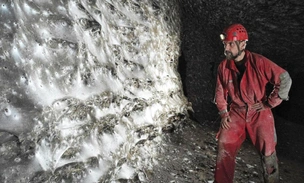 Как три хрущевки: балканские пауки сплели самую большую паутину на Земле и живут там в мире и согласии