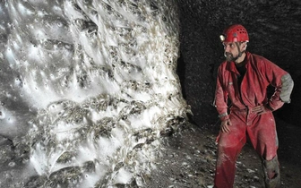 Как три хрущевки: балканские пауки сплели самую большую паутину на Земле и живут там в мире и согласии