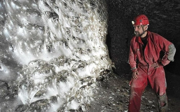 Как три хрущевки: балканские пауки сплели самую большую паутину на Земле и живут там в мире и согласии