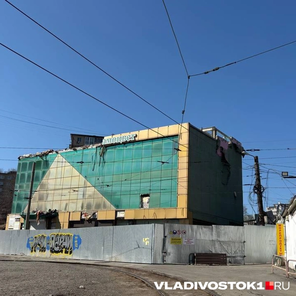 Источник: Елена Буйвол / VLADIVOSTOK1.RU