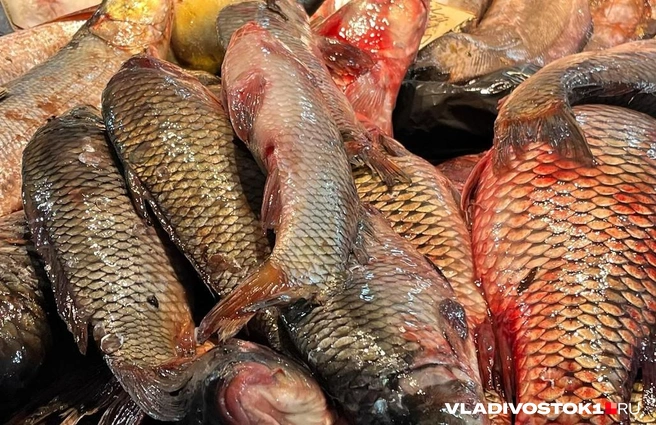 Сейчас 37 российских компаний имеют разрешение на экспорт рыбной продукции в Бразилию | Источник: Елена Буйвол / VLADIVOSTOK1.RU