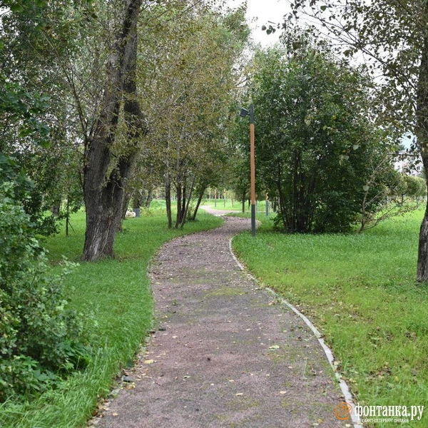 Источник: Андрей Бок / «Фонтанка.ру»