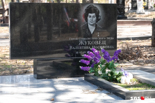Источник: Евгений Вдовин / 161.RU