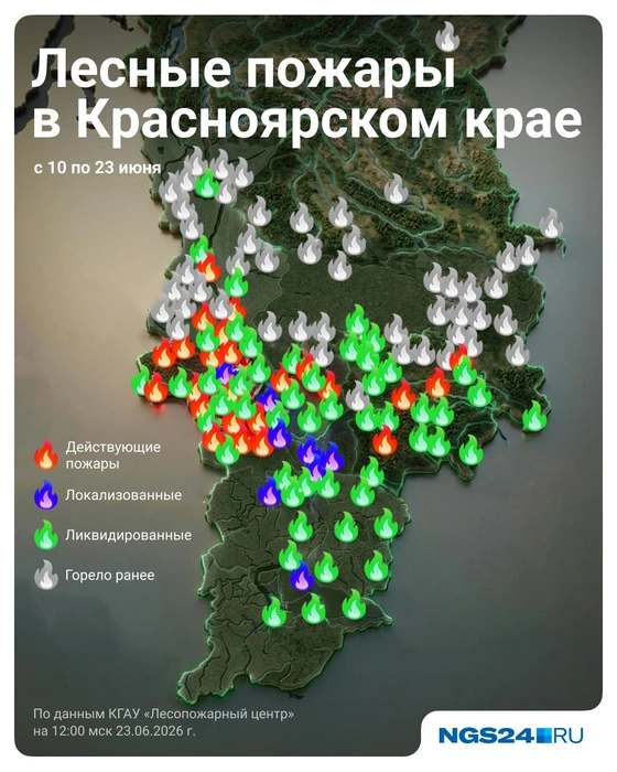 Июньские лесные пожары на наглядной карте | Источник: Полина Авдошина / Городские медиа