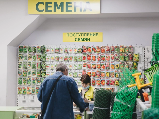 Агроном Иван Григорьев делится рекомендациями по правильному выбору семян для посева. | Источник: Дарья Пона / 74.RU