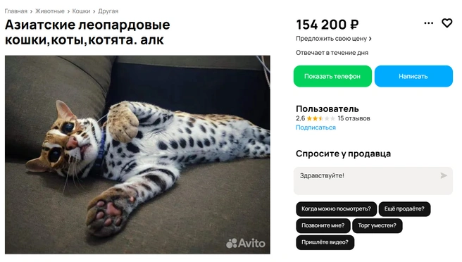 Хотели бы себе домашнего леопарда? | Источник: Avito.ru