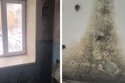 Омская многоэтажка с плесенью из-за прорыва: ТСЖ обещает ремонт