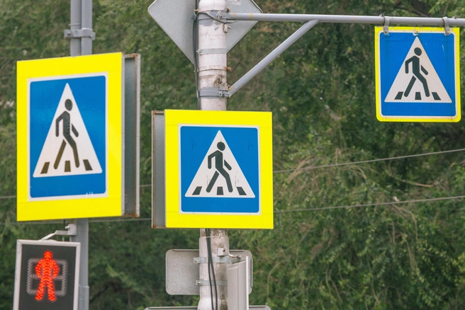 В Воронежской области на федеральной трассе построят новый надземный переход | Источник: Роман Данилкин/Роман Данилкин