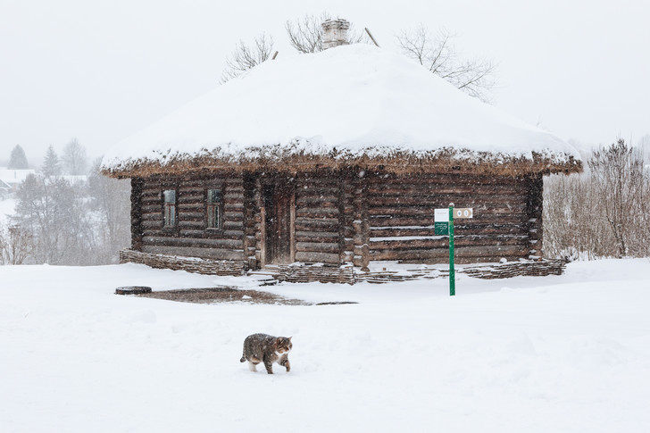 Зима в Туле: шесть тематических маршрутов