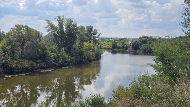 Если очистить берег возле парка «Царево городище», такой вид открывается на реку Тобол | Источник: Дарья Никитченко / 45.RU