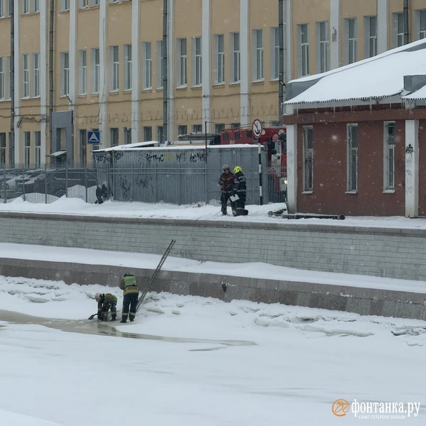 Источник: Никита Григорьев