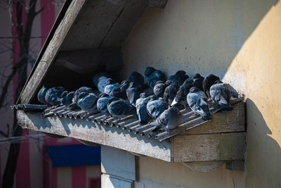 Приморье сковали морозы до -31,8°C