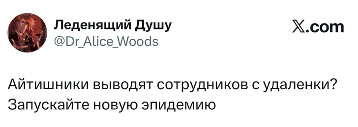 Лучшие шутки и мемы про хантавирус, который грозит новой пандемией | Источник: X (Twitter)