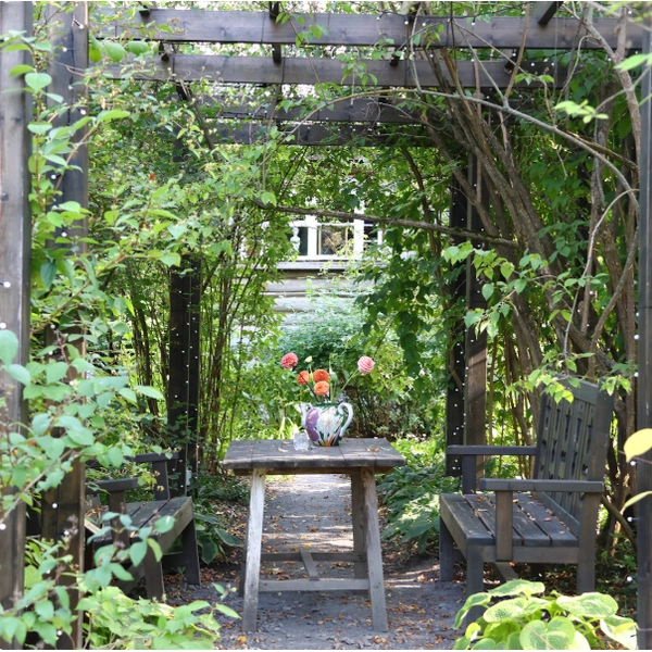 Аллея чубушников. | Источник: Екатерина Кикина