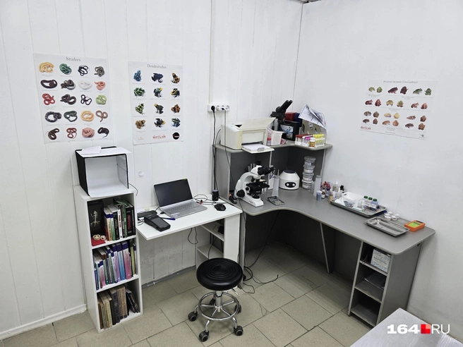 Кабинет Оксаны | Источник: Семен Коротов-Майбах / 164.RU