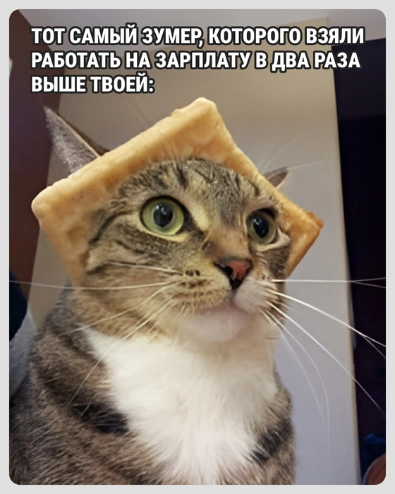 Сразу видно: специалист | Источник: Городские медиа