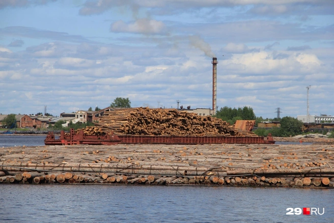 Здесь сплавляют лес