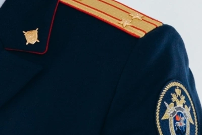 В Петрозаводске осудили руководителя за сокрытие налоговых средств