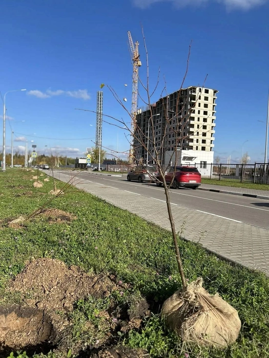 Источник: lipetskcity.ru