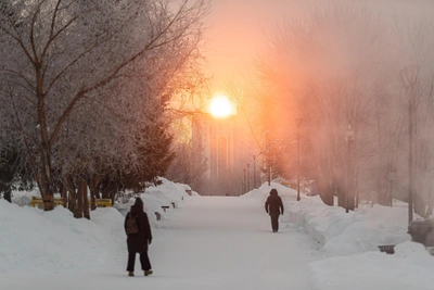 Anton's Day: Avoid Sharing Future Plans on January 30