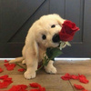 userpic__vidmvi1