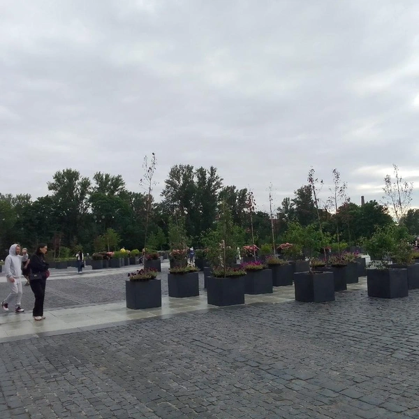 сад-трансформер в Кронштадте, 29 июня | Источник: Подслушано в Кронштадте