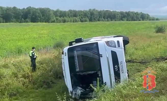 Кадр из видео МВД 24 | www.fontanka.ru