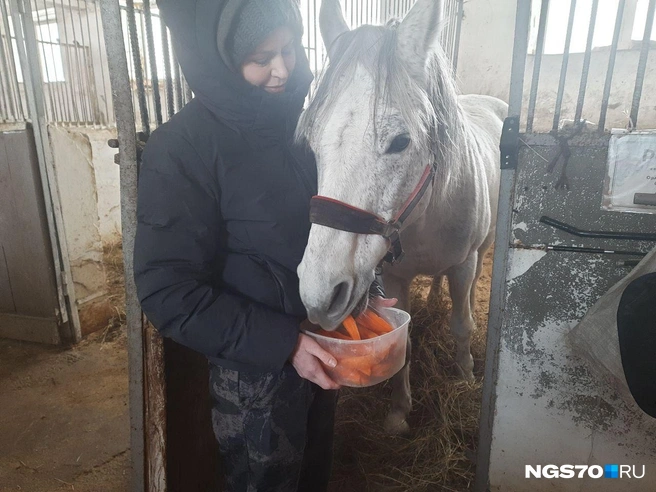 У коня&nbsp;— непростой характер, но Светлана ни разу не пожалела о том, что выкупила его | Источник: Анастасия Харламова / NGS70.RU