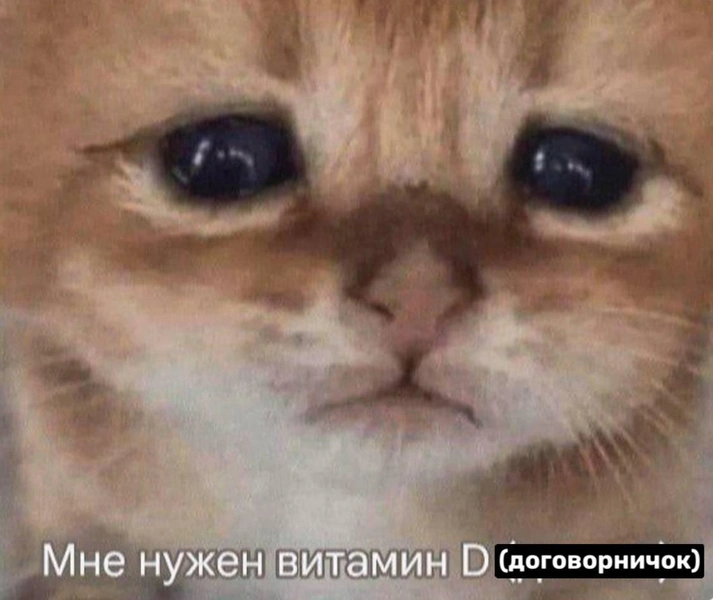 Источник: X (Twitter)