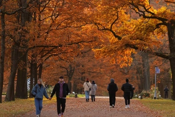 Вечерние прогулки способствуют здоровому сну | Источник: Дарья Драй / «Фонтанка.ру»
