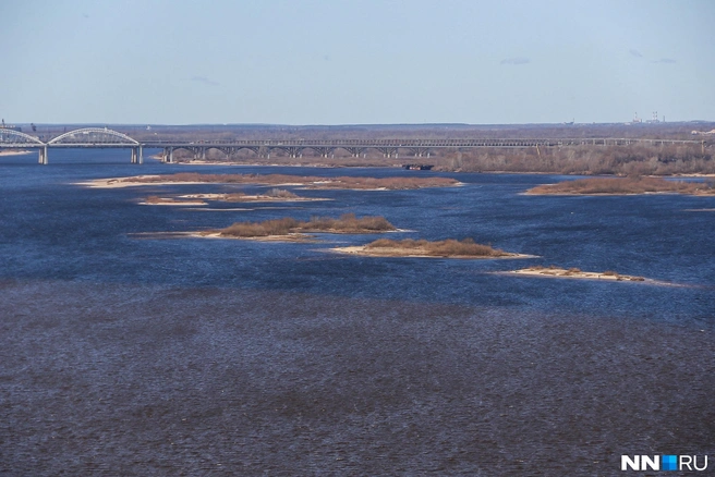 Нижегородцы массово жалуются на неприятный запах воды | Источник: Наталья Бурухина / NN.RU