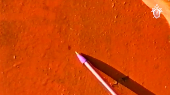 Капли крови впоследствии нашли и на стенах гаража | Источник: kurgan.sledcom.ru