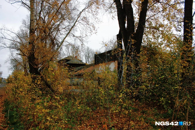 За кустами и деревьями его можно и не заметить | Источник: Татьяна Ирискина / NGS42.RU