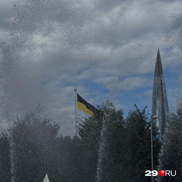 Источник: Валерия Богатырёва / 29.RU