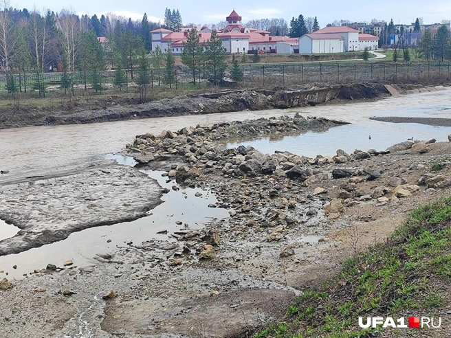 Тут более 100 источников | Источник: Марина Каримова / UFA1.RU