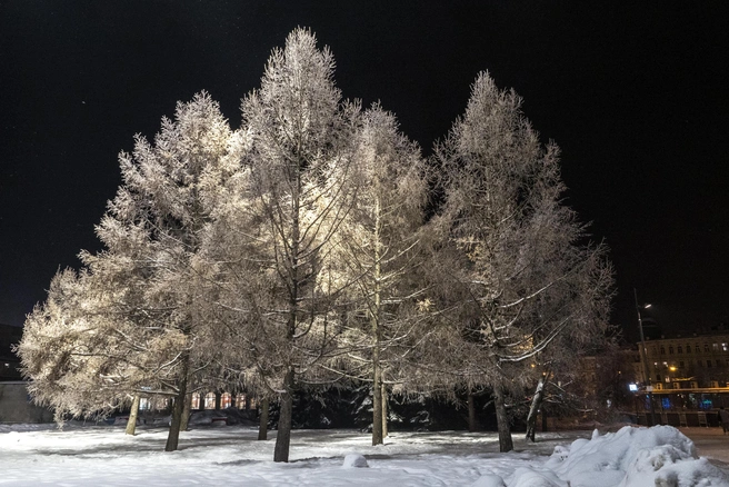 Ожидается снижение температур с ночными заморозками до минус 14 градусов | 142.ru
