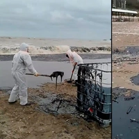 Мазутный прибой: как в Туапсе справляются с необъявленной экологической катастрофой